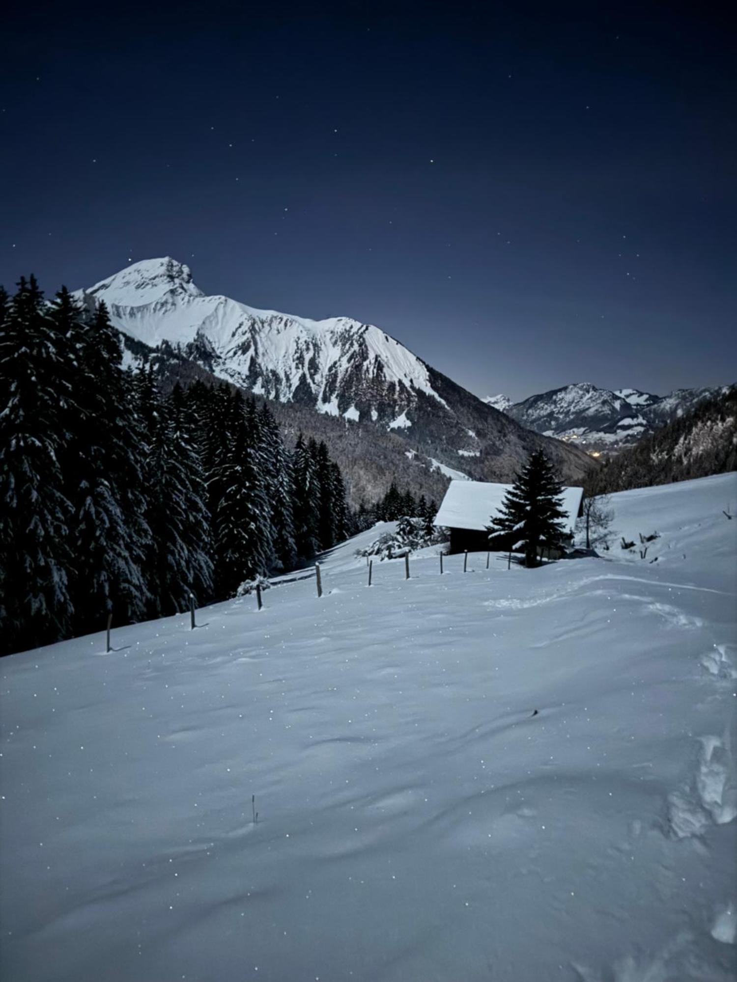 Charming, Cosy Chalet Nestled In A Breathtaking Surrounding With Spectacular, Stunning Mountain Views Abondance Exteriér fotografie